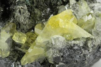Glassy Yellow Anglesite Crystals on Galena - Morocco #251479