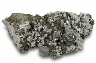 Calcite Crystals on Dolomite and Sparkling Pyrite - New York #251201