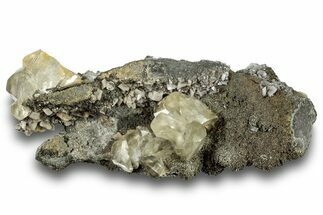 Calcite Crystals on Dolomite and Sparkling Pyrite - New York #251209