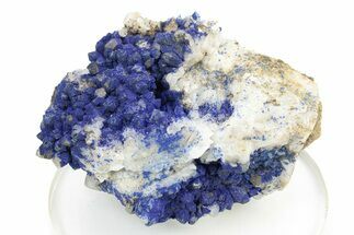 Vibrant Azurite on Quartz Crystals - China #252073