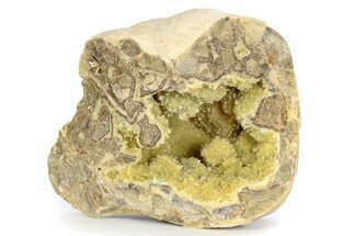 Yellow Crystal Filled Septarian Geode - Utah #251073