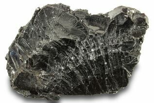 Shungite For Sale