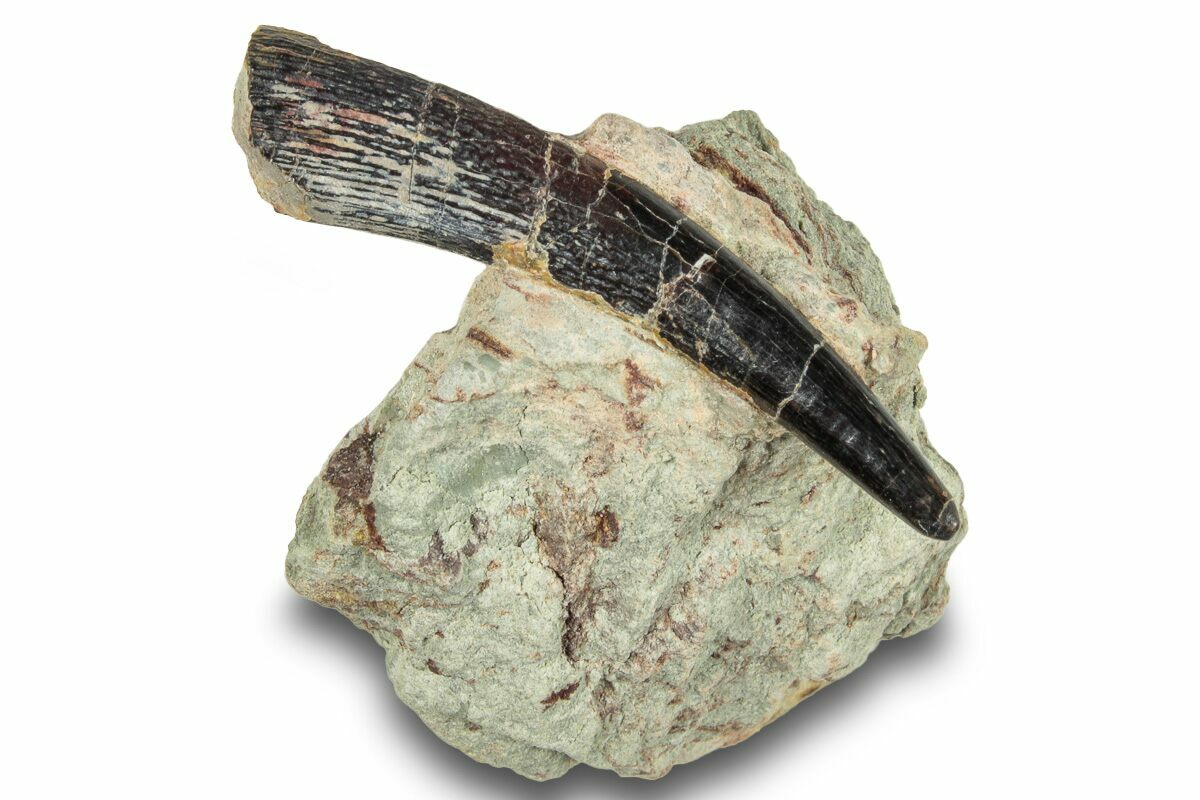 150 (number) visual data 7