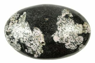 Polished Snowflake Stone - Pakistan #252614