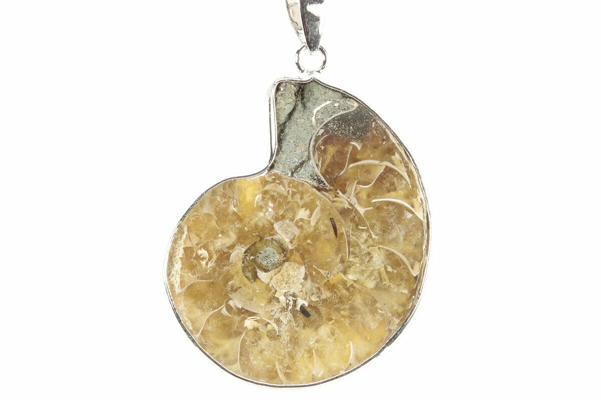 135 Fossil Ammonite Pendant 110 Million Years Old 252564 For Sale