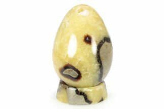 Polished Septarian Egg with Stand - Madagascar #252805