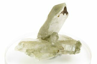 Chlorite Included Quartz Crystal Cluster - Pakistan #253179