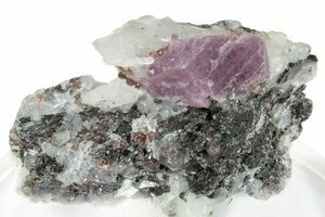 Faceted Almandine Garnet~Large CRFAGARL – EarthSpeak