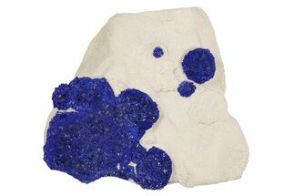 Vibrant Blue Azurite Suns on Siltstone - Australia #254045