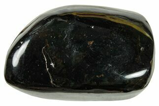 Dark Polished Chiapas Amber ( g) - Mexico #253855