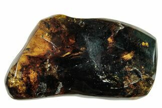 Polished Chiapas Amber ( g) - Mexico #253858
