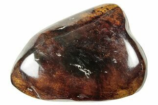 Polished Chiapas Amber ( g) - Mexico #253874