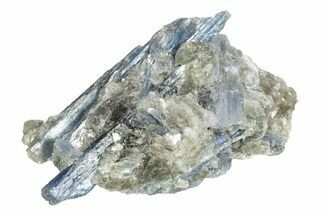 Vibrant Blue Kyanite Crystals In Muscovite - Brazil #255028