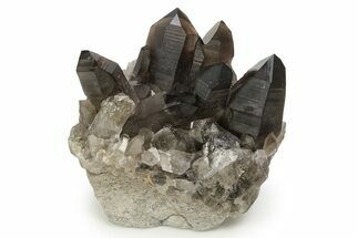 Stunning, Dark Smoky Quartz Crystal Cluster - Brazil #255393