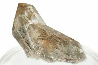 Glassy Smoky Quartz Crystal - Brazil #255473