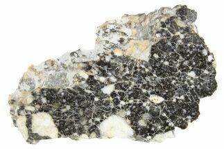 Polished Lunar Meteorite Slice ( g) - NWA #256124