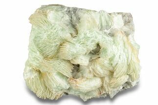 Green, Bladed Prehnite Crystals with Quartz - Morocco #255513