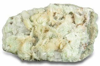 Green, Bladed Prehnite Crystals with Quartz - Morocco #255515