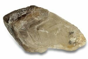 1.7 Tibetan Smoky Quartz Crystal - Tibet (#128633) For Sale 