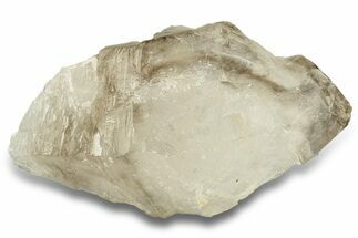 Lustrous Smoky Quartz Crystal - Brazil #256415