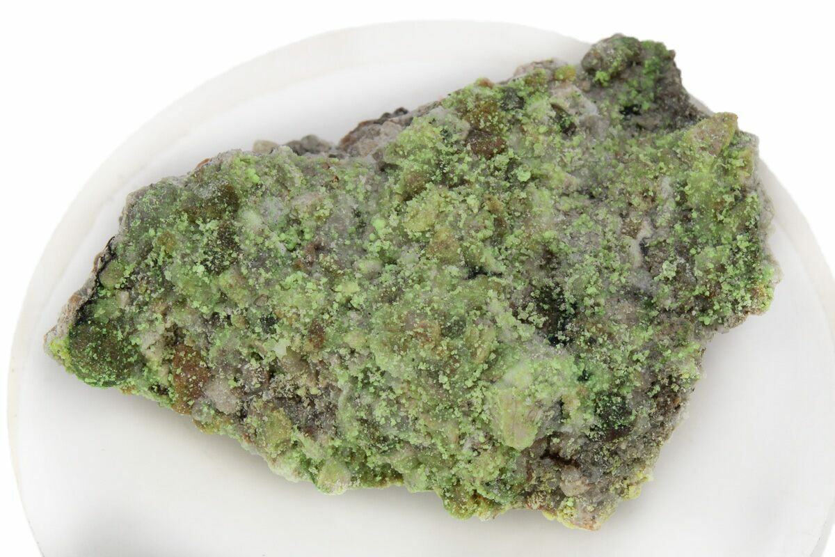 1.3" Extremely Fluorescent Andersonite Aggregation Uranium Based