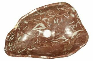 Polished Fossiliferous Red Stone Vessel Sink - Morocco #257272