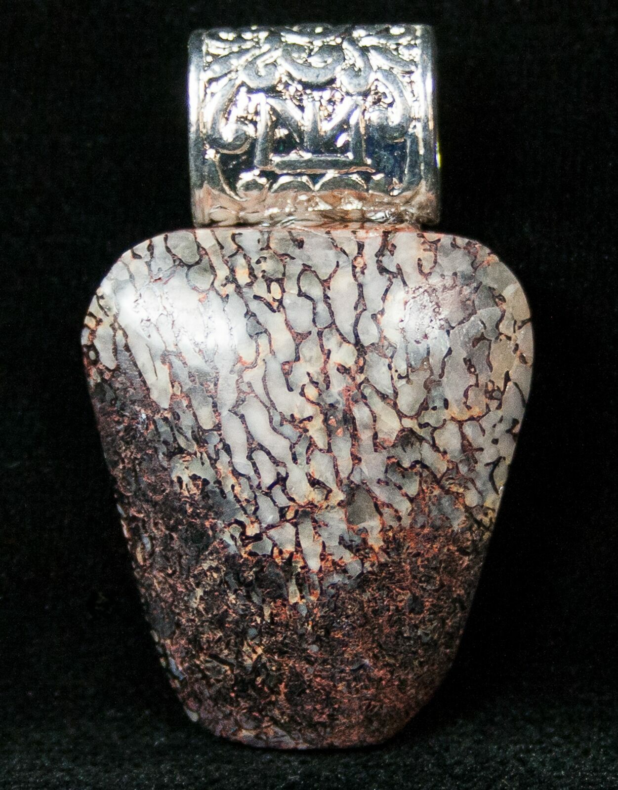 agatized dinosaur bone for sale