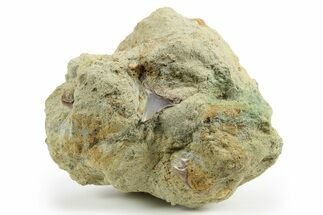 Three Fossil Shark Teeth on Sandstone - Bakersfield, CA #257513