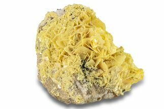 Lustrous Bright Yellow Wulfenite on Dolomite - Morocco #258042