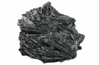 Intricate Black Kyanite Crystals - Brazil #257922