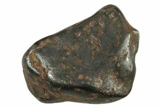 Canyon Diablo Iron Meteorites (- grams) - Arizona #258409