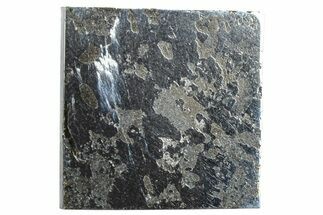 Polished Maslyanino Iron Meteorite Slice ( g) - Russia #258349