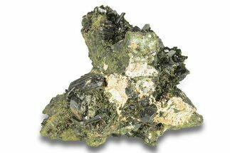 Lustrous, Epidote Crystal Cluster on Actinolite - Pakistan #257759