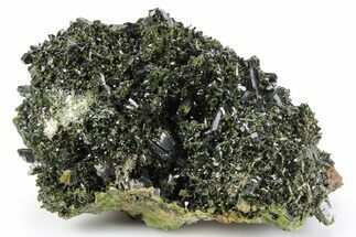 Lustrous, Epidote Crystals on Actinolite - Pakistan #257769