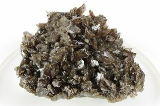 Lustrous Axinite Crystal Cluster - Dalnegorsk, Russia #259012