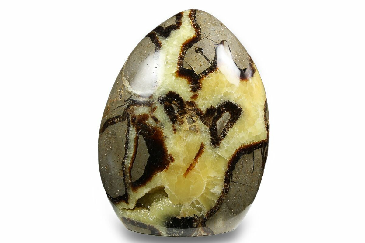 Septarian Form 5.35