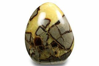 Free-Standing, Polished Septarian - Madagascar #258640