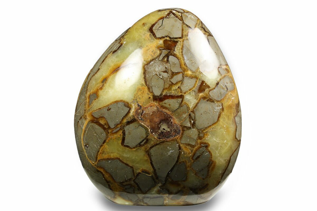 Septarian Form 4.8