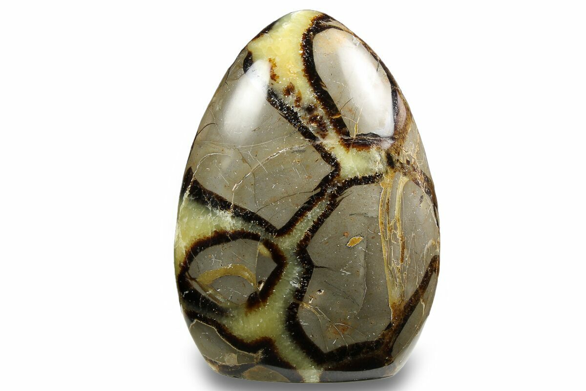 Septarian Form 4.5