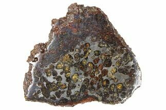 Polished Sericho Pallasite Meteorite ( g) Slice - Kenya #259259