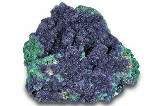 Sparkling Azurite Crystals on Fibrous Malachite - China #259653