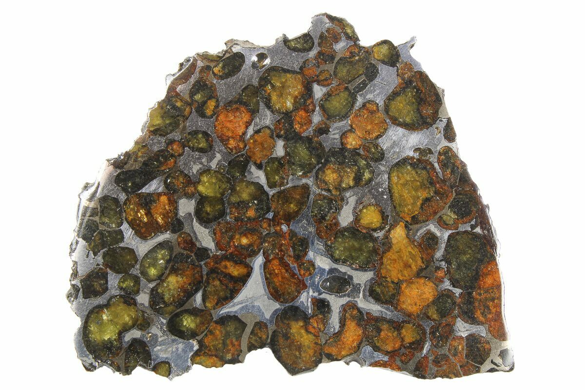 Polished Sericho Pallasite Meteorite ( g) Slice - Kenya #259721