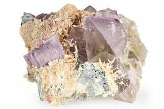 Purple Cubic Fluorite on Galena - Cave-In-Rock #260210