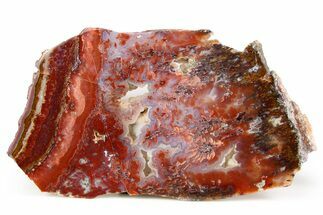 Polished Sicat Plume Agate Slab - Cady Mountains, California #184953