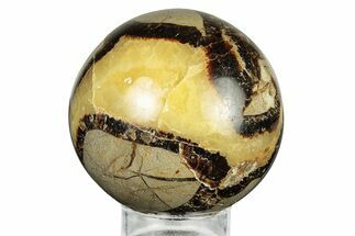 Polished Septarian Sphere - Madagascar #260028