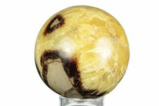 Polished Septarian Sphere - Madagascar #260030