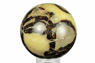 Polished Septarian Sphere - Madagascar #260034