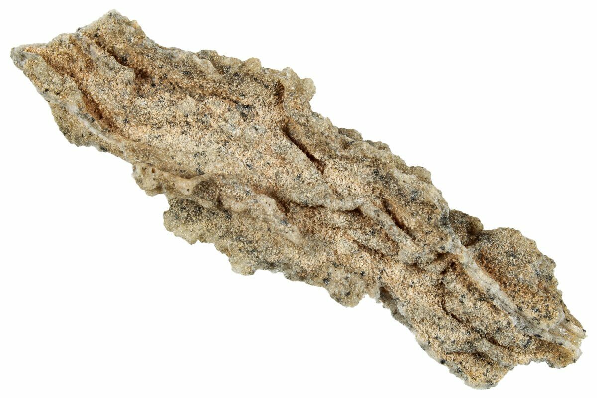 3.0" Fulgurite - "Petrified Lightning" (#260441) For Sale - FossilEra.com