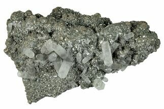 Calcite Crystals with Dolomite on Pyrite - Missouri #260488