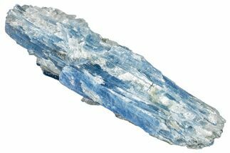 Vibrant Blue Kyanite Crystals In Quartz - Brazil #260748